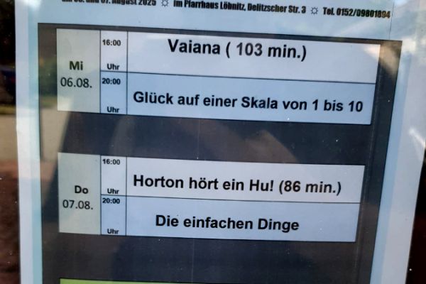 sommerkino3-25BA8E295B-C8D5-DF48-7093-B38162B33DB1.jpg